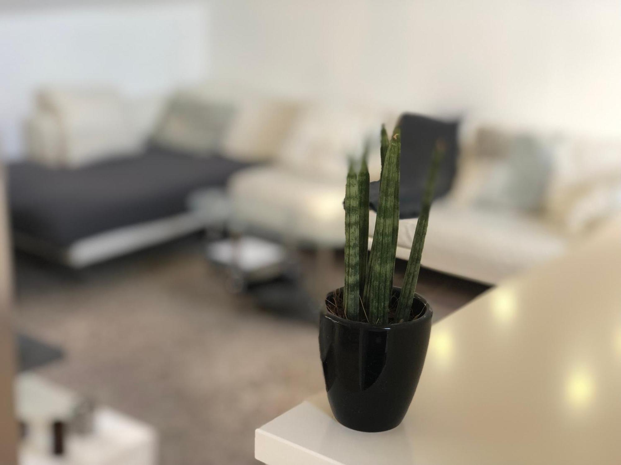 Caleva'S Bnb Pforzheim Bagian luar foto