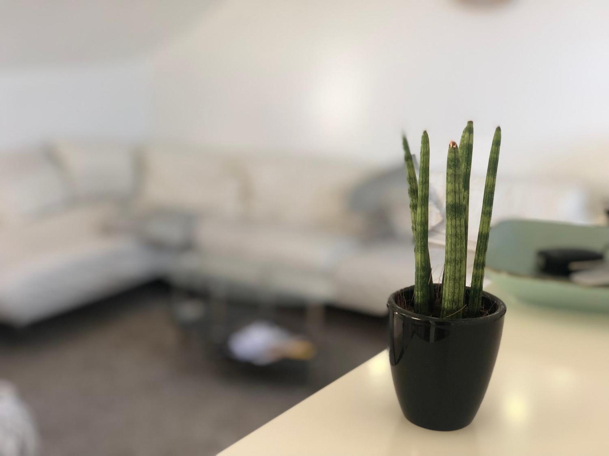 Caleva'S Bnb Pforzheim Bagian luar foto