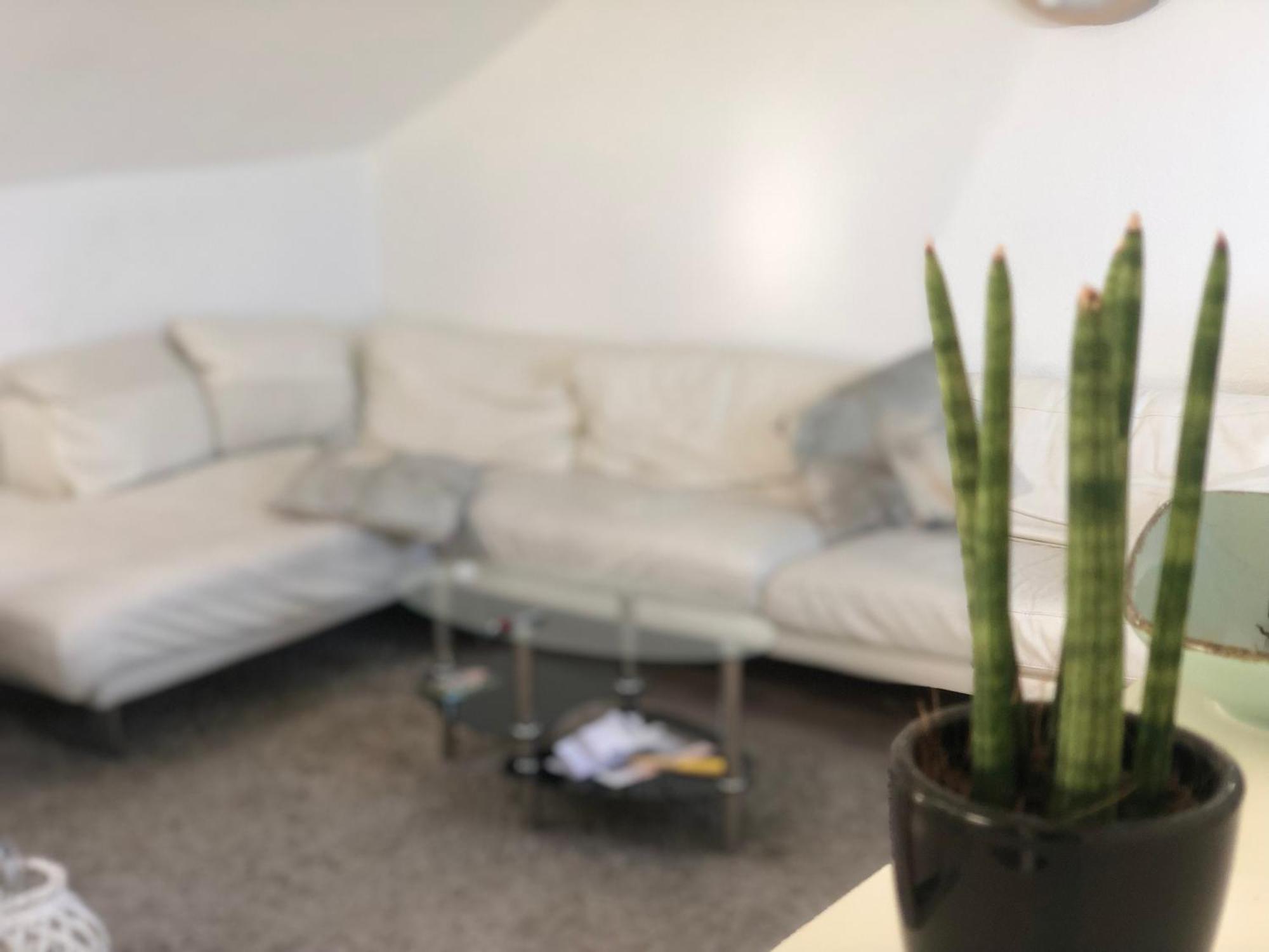 Caleva'S Bnb Pforzheim Bagian luar foto